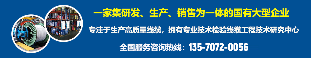 廣州電纜廠(chǎng)